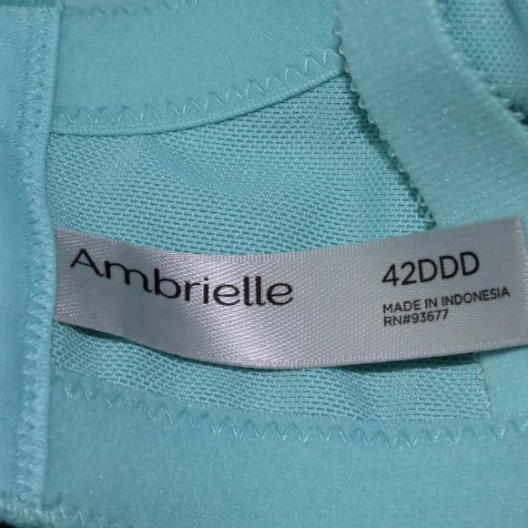 NEW!!! Ambrielle Aqua Bra Size 42DDD or 42F - Picture 6 of 7